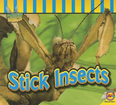 Book cover for Stick Insects