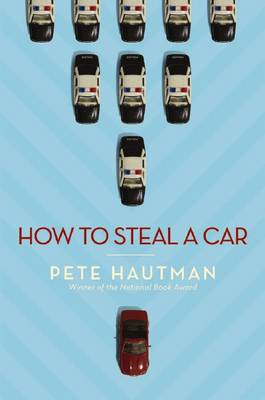 Book cover for How To Steal a Car