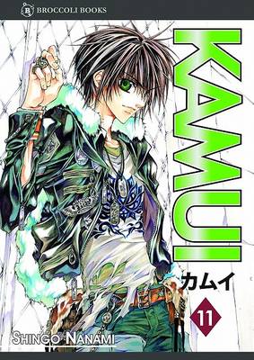 Book cover for Volume 11