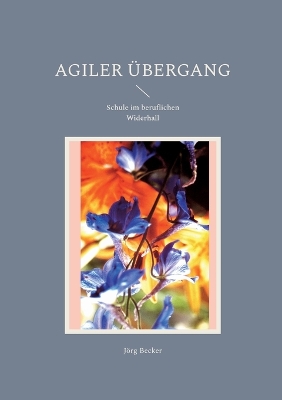 Book cover for Agiler Übergang