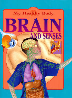 Book cover for Brain and Senses