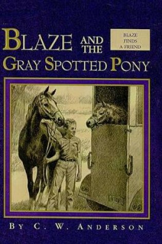 Cover of Blaze and the Gray Spotted Pony