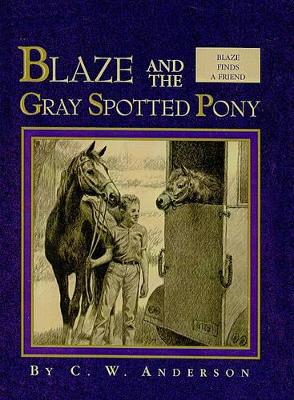 Cover of Blaze and the Gray Spotted Pony