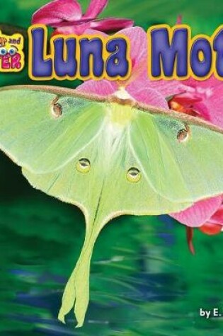 Cover of Luna Moth