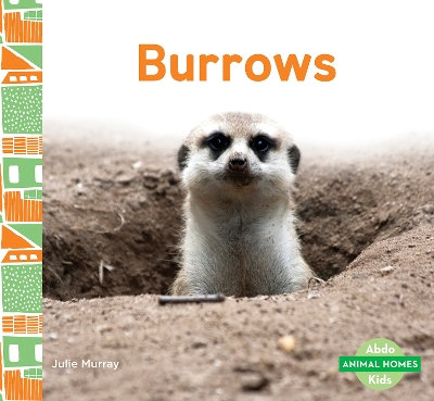 Book cover for Animal Homes: Burrows