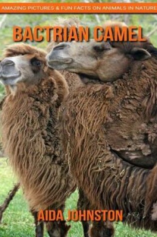 Cover of Bactrian Camel