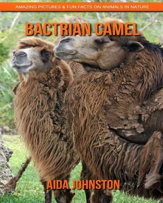 Book cover for Bactrian Camel