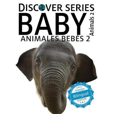 Book cover for Animales Bebes 2/ Baby Animals 2