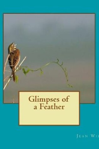 Cover of Glimpses of a Feather