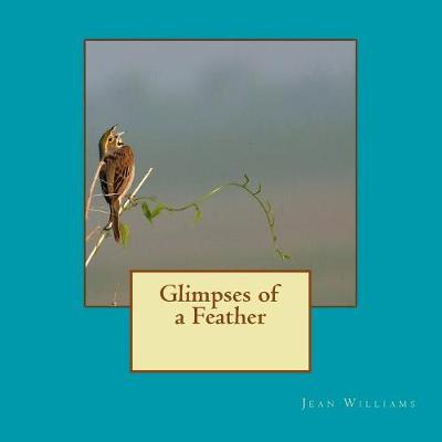 Book cover for Glimpses of a Feather