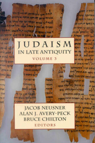 Cover of Judaism in Late Antiquity, I, II, III (3 vols)