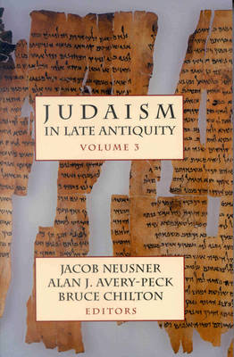 Book cover for Judaism in Late Antiquity, I, II, III (3 vols)