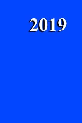 Book cover for 2019 Daily Planner Blue Simple Plain Blue 384 Pages