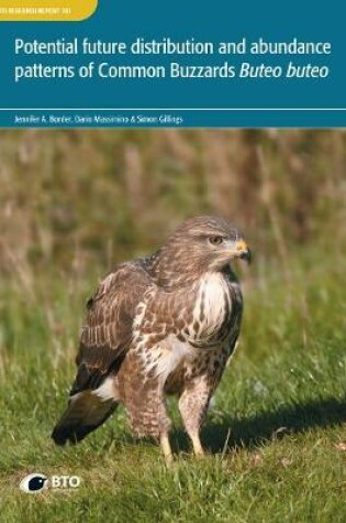 Cover of Potential future distribution and abundance patterns of Common Buzzards Buteo buteo