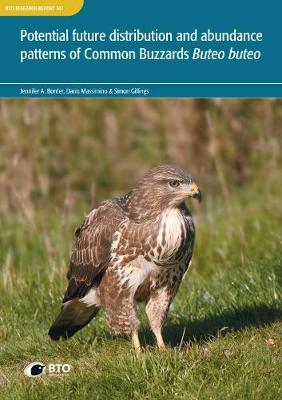 Book cover for Potential future distribution and abundance patterns of Common Buzzards Buteo buteo