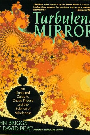 Cover of The Turbulent Mirror