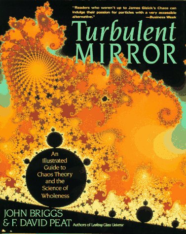 Book cover for The Turbulent Mirror