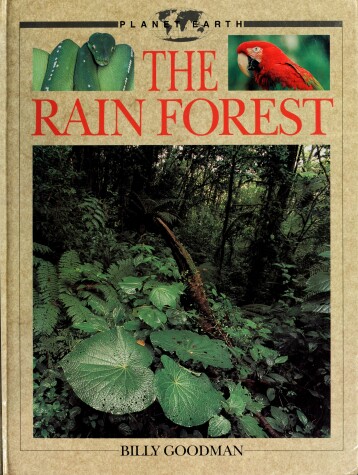 Book cover for The Rain Forest