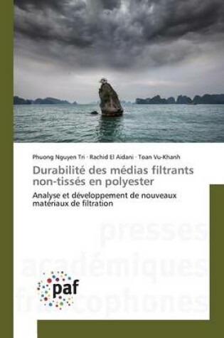 Cover of Durabilite Des Medias Filtrants Non-Tisses En Polyester