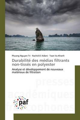 Book cover for Durabilite Des Medias Filtrants Non-Tisses En Polyester