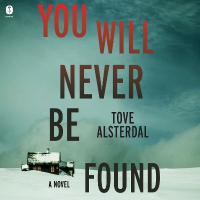 Book cover for You Will Never be Found