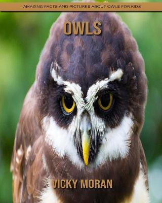 Book cover for Owls