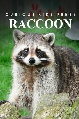 Book cover for Raccoon - Curious Kids Press