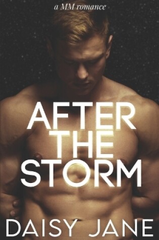 Cover of After the Storm