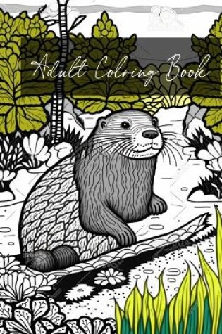 Cover of Adult Coloring Book