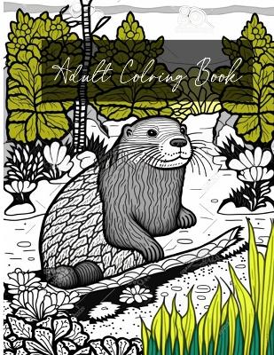 Book cover for Adult Coloring Book