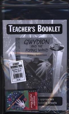 Book cover for Gwydion and the Flying Wand (Literacy Resource Pack)