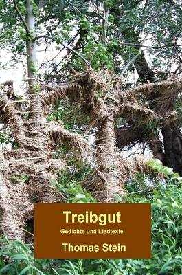 Book cover for Treibgut