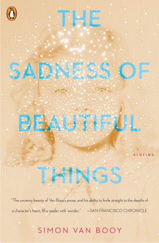 Book cover for The Sadness of Beautiful Things