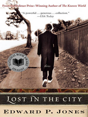 Book cover for Lost in the City