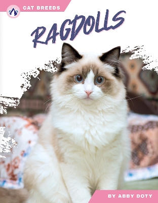 Book cover for Ragdolls