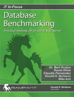 Book cover for Database Benchmarking