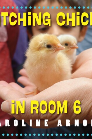 Cover of Hatching Chicks in Room 6