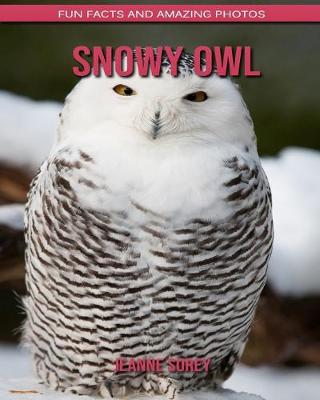 Book cover for Snowy Owl