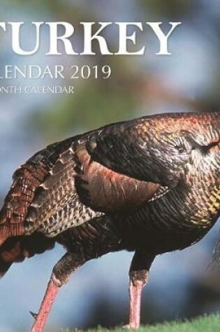 Cover of Turkey Calendar 2019