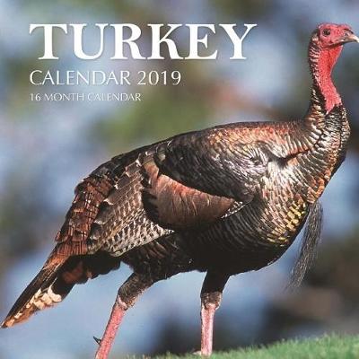 Book cover for Turkey Calendar 2019