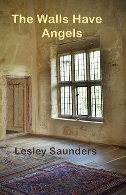 Book cover for The Walls Have Angels