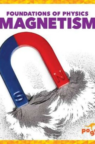 Cover of Magnetism