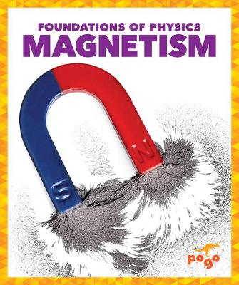 Book cover for Magnetism