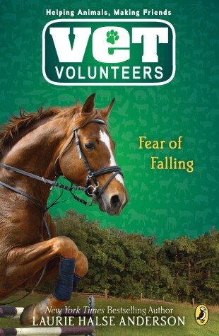 Cover of Fear of Falling #9