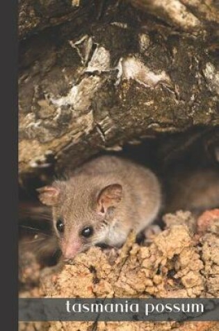 Cover of tasmania possum