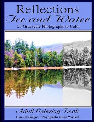 Book cover for Reflections Ice and Water