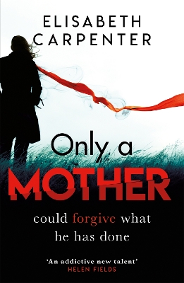 Book cover for Only a Mother