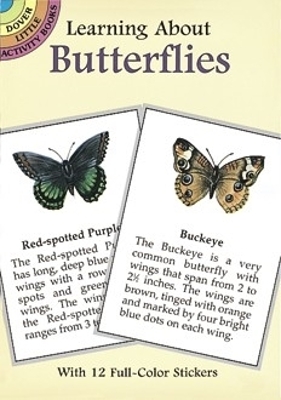 Book cover for Learning About Butterflies