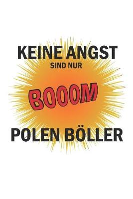 Book cover for Keine Angst sind nur Polen Boeller