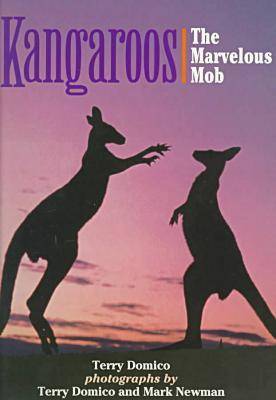 Book cover for Kangaroos